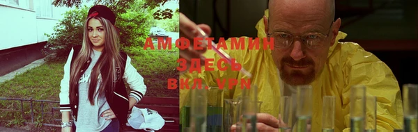гидра Абаза