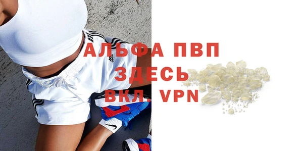 гидра Абаза